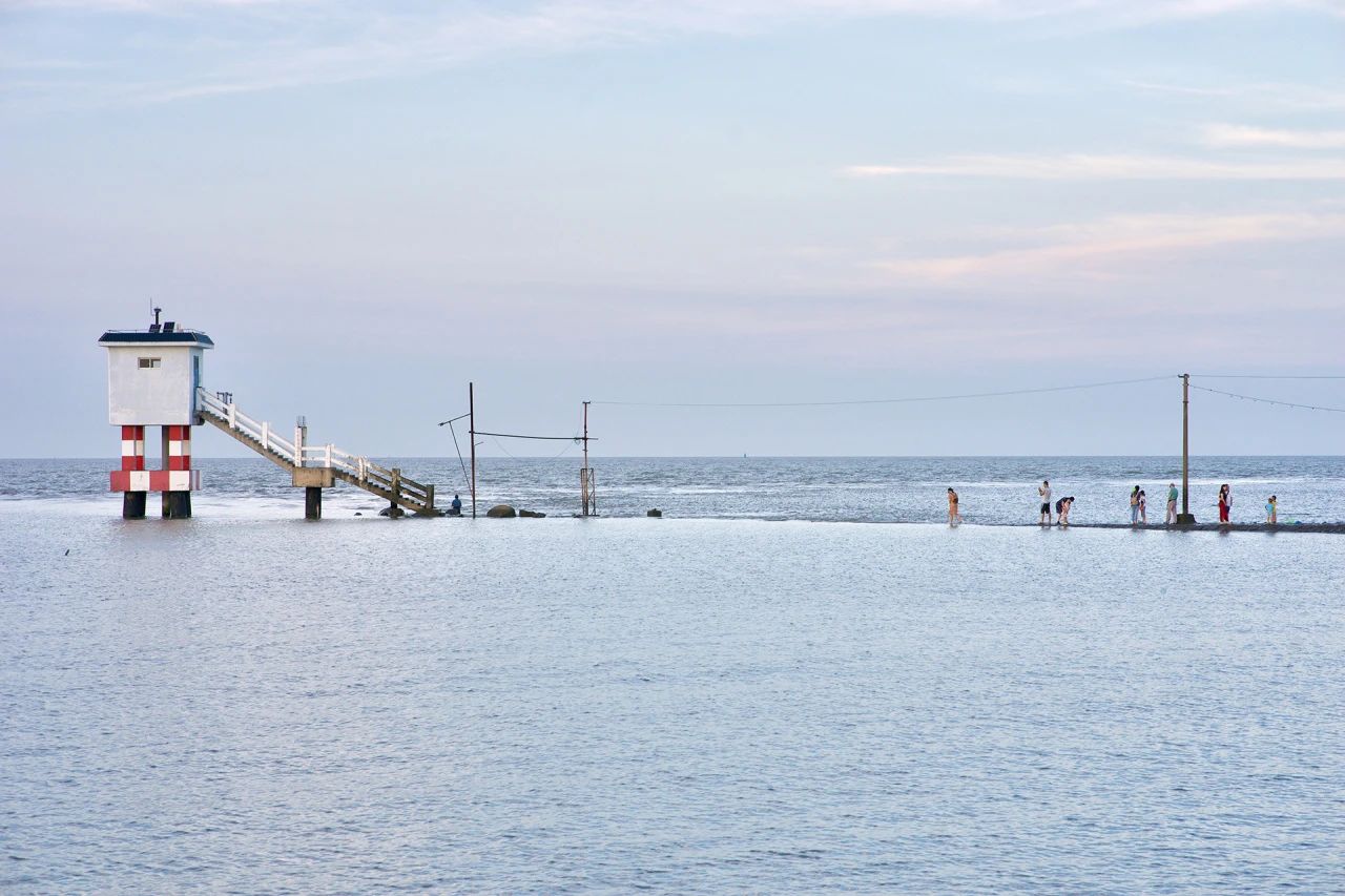 白菜资源网-白菜导航大全