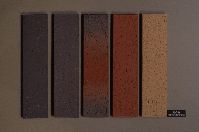 白菜资源网-白菜导航大全